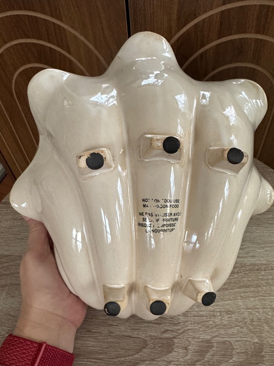 Vintage Wedgwood Nautilus Shell Bowl / Vase, Coastal - Picture 3 of 5